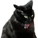 chunksit
