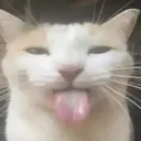 blehh blehh