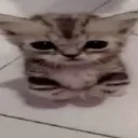 wahhh wahhh