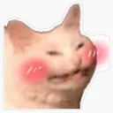 catblush