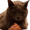 tellmemore