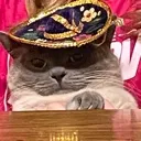 Mexicancat Discord Emoji