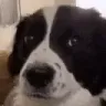 Erm