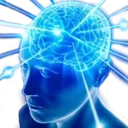 bigbrain