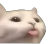 cat_blep