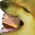 3_ 3_
