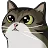 Cat Discord Emoji