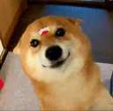 emoji_255