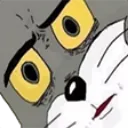 TomWtf