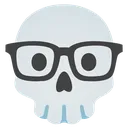 skullnerd