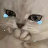 merve_cry