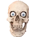 Skull6