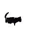 Cat_Explosion_LOL