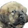 kayaStare