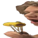 emoji_496