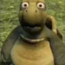 wtf