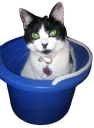 Oreo_bucket