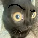 CatSUS