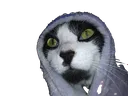 Oreo_spoopy