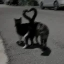 emoji_1catslove Discord Emoji