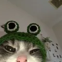 emoji_2cat Discord Emoji