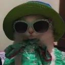 emoji_cat Discord Emoji