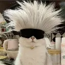 Emoji Cat1 Discord Emoji