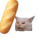 baguettebonk