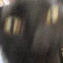 GREMLIN