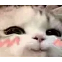 smug