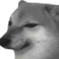 ysp_dukhiKrRkhaH Discord emoji