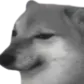 ysp_dukhiKrRkhaH