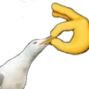 shut