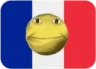 flag_fr