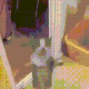 catdance