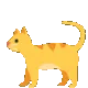 cathop cathop