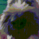 ShaySniff Discord emoji