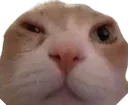 erm
