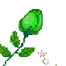 Green_Rose
