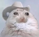 yeehawsadcat Discord emoji