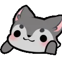 Bongo