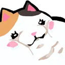 fatcatzoom