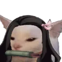 nezukocat