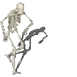 BONEZONE