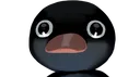 NOOT