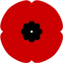 poppy