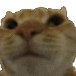 nonono