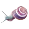 GC_fancy_snail