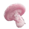 GC_pink_mushroom