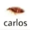 Carlos Carlos